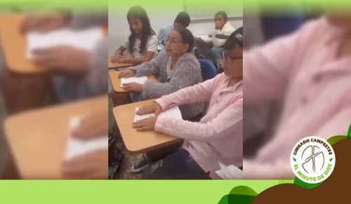 Ramas del Poder Público