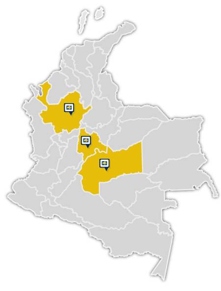 mapa-jovenes-adultos