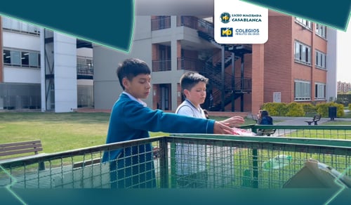 ¡Las pequeñas acciones transforman nuestra Casa Común!